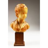 A SMALL GEORGIAN CARVED WAX BUST, head and shoulders of a young boy. 6ins high on a wooden plinth.