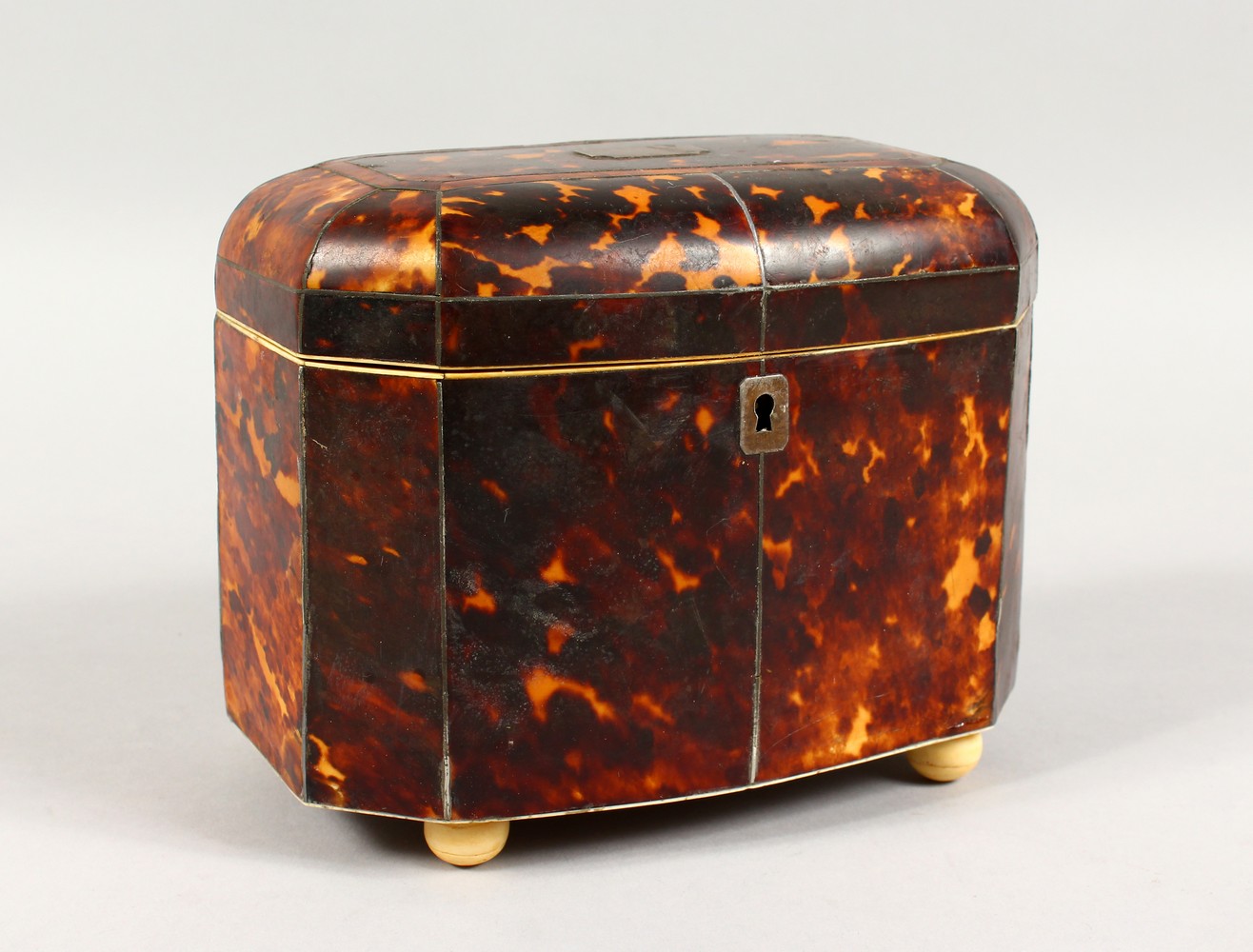 A 19TH CENTURY TORTOISESHELL TEA CADDY, of rounded rectangular form, on ivory ball feet. 7.25ins