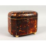 A 19TH CENTURY TORTOISESHELL TEA CADDY, of rounded rectangular form, on ivory ball feet. 7.25ins