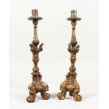A PAIR OF 18TH / 19TH CENTURY CARVED AND PAINTED WOOD ALTAR STYLE CANDLESTICKS. 14ins high.