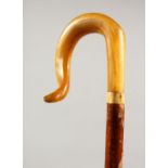 A HORN HANDLED SHEPHERDS CROOK. 54ins long.