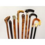 A COLLECTION OF NINE VARIOUS RUSTIC AND OTHER WALKING STICKS AND CANES.