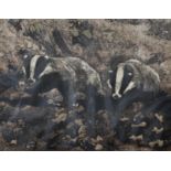 Robert Hainard (1906-1999) Swiss. "Petits Blaireaux au Clair de Lune", Badgers, Woodcut, Signed