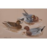 F... M... Jones (20th Century) British. "Wigeon", a Study of Ducks on Water, Mixed Media, Signed and