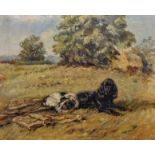 Lucy Dawson (1867-1958) British. A Terrier and Spaniel on a Rug, Oil on Board, Signed, 14.5" x 17.