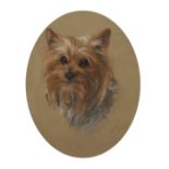 S... Hallett (20th Century) British. "Dorothy", Head of a Terrier, Pastel, Signed and Inscribed,