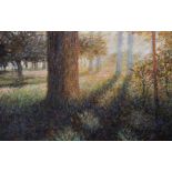 20th Century English School. A Sunlit Forest, Oil on Canvas, Indistinctly Signed, 20" x 30".