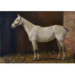 Frances Mabel Hollams (1877-1963) British. A Grey Horse in a Stable, Oil on Panel, Signed, 12.25"