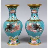 A PAIR OF 20TH CENTURY CHINESE CLOISONNE VASES, decorated with scenes of goldfish, 20.5cm high,