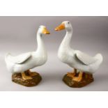 A GOOD PAIR OF ORIENTAL STUDIO PORCELAIN MODELS OF DUCKS, on stylized earthy bases, 31.5cm high x