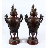 A GOOD PAIR OF JAPANESE MEIJI PERIOD BRONZE LIDDED CENSERS, of ovoid form on three curving phoenix