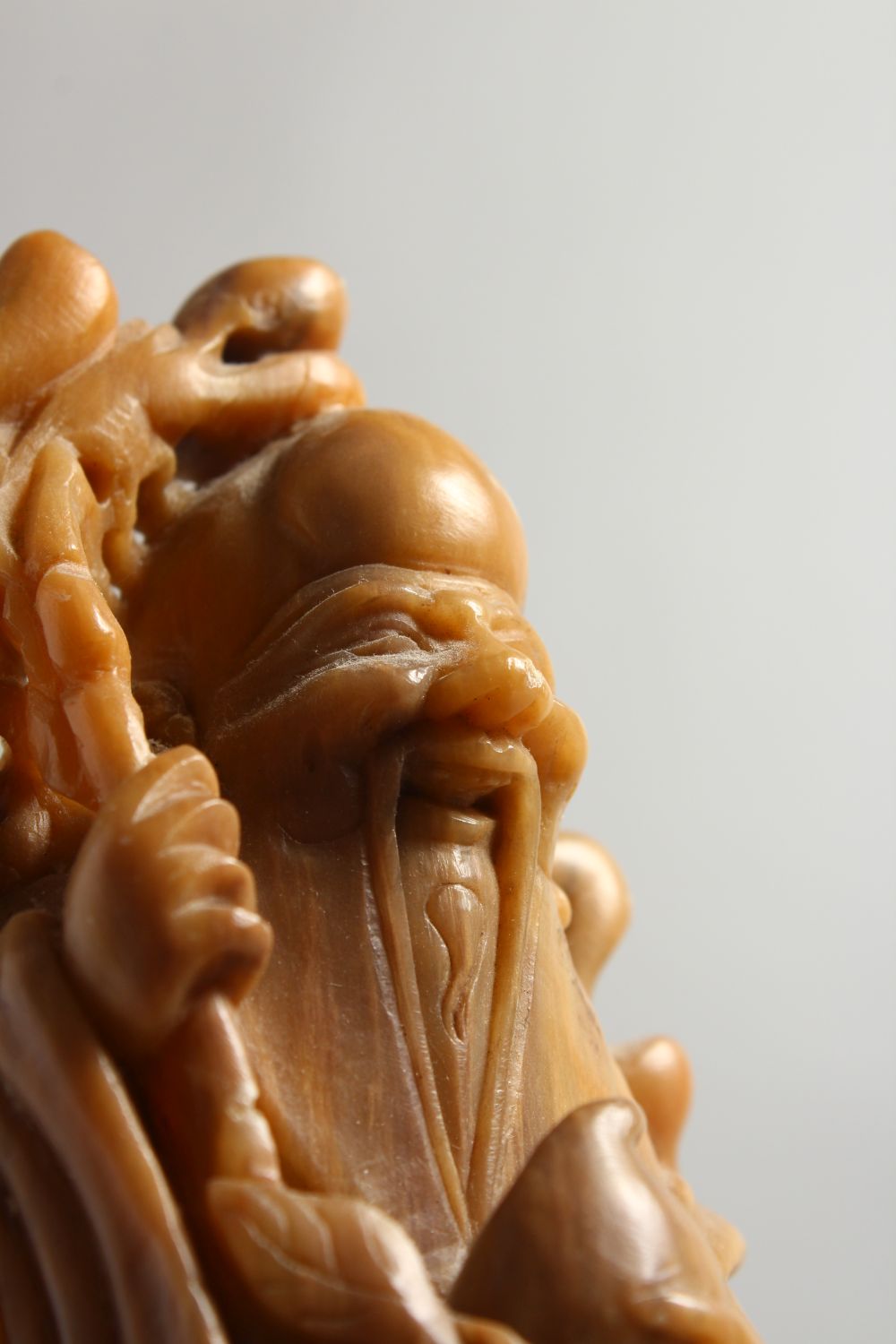 A GOOD 19TH / 20TH CENTURY CHINESE CARVED SOAPSTONE FIGURE OF SHOU LAO, stood on a carved stone base - Image 9 of 9