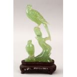 A 19TH / 20TH CENTURY CHINESE CARVED JADE MODEL OF TWO BIRDS PERCHED, upon a fitted carved
