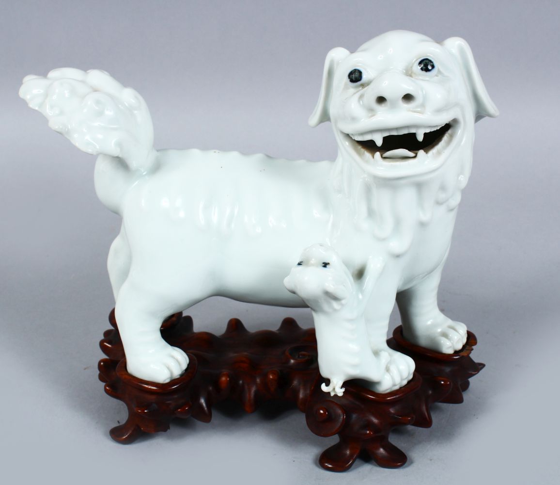 A GOOD 19TH / 20TH CENTURY CHINESE BLANC DE CHINE PORCELAIN FIGURE OF A LION DOG AND PUP, the dog