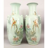 A LARGE PAIR OF CHINESE 20TH CENTURY CELADON FAMILLE ROSE PORCELAIN VASES, both vases with twin