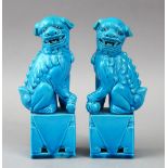 A PAIR OF 20TH CENTURY CHINESE TURQUOISE GLAZED FOO DOG PORCELAIN FIGURES, 20cm high.