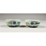 A GOOD PAIR OF CHINESE DOUCAI PORCELAIN CUPS, the body with border decoration and the bases