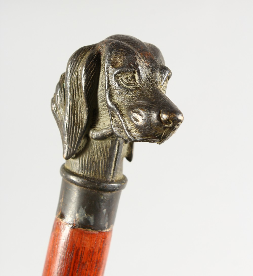 A GOOD WOODEN WALKING STICK with metal handle, head of a dog.