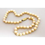 A SINGLE ROW OF PEARLS, with 9ct gold clasp.