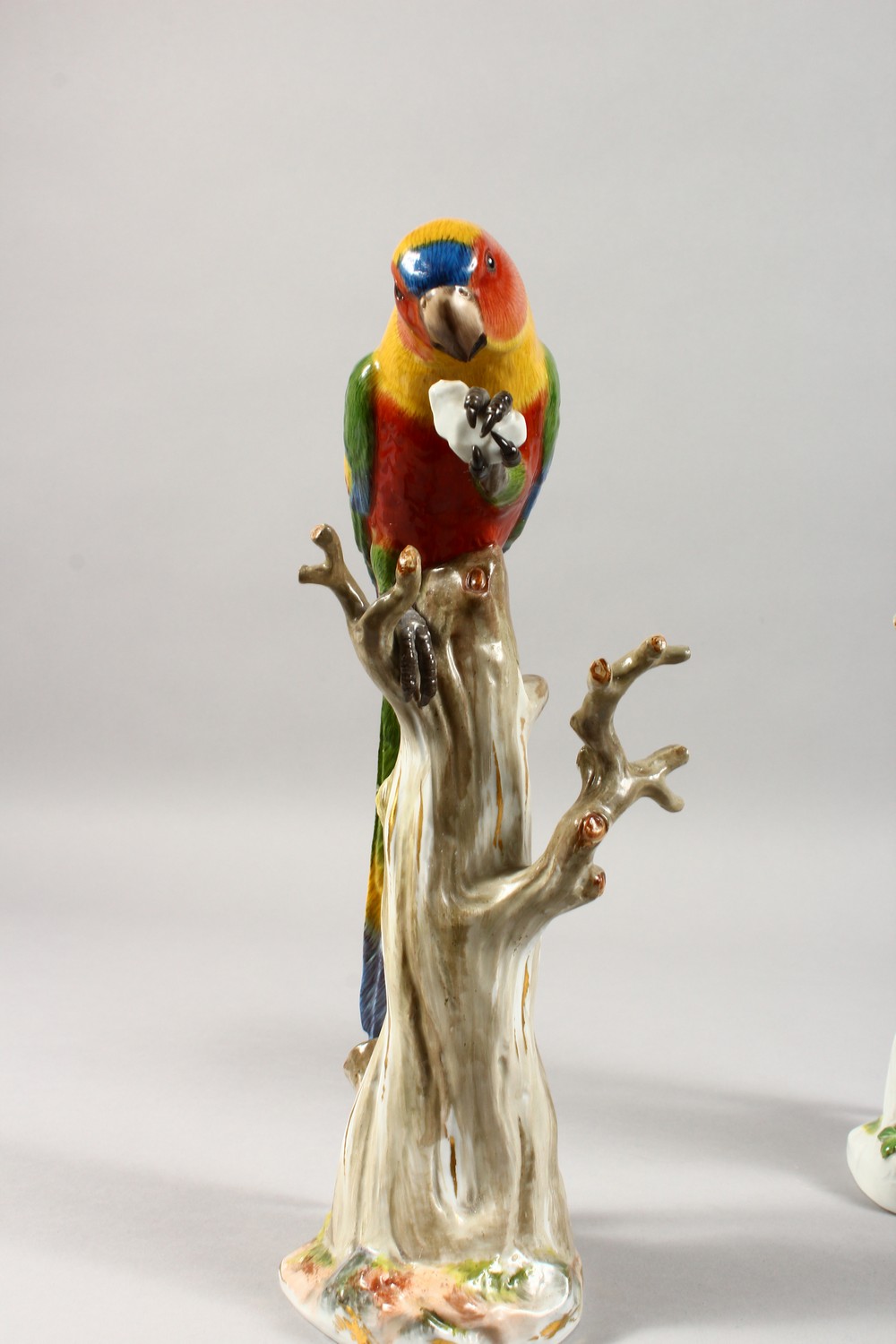 A VERY GOOD MATCHED PAIR OF 19TH CENTURY MEISSEN PORCELAIN PARAKEETS, brilliant colours, standing on - Image 6 of 20