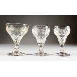 A SUITE OF GLASSWARE, etched with fruiting vines, comprising six large wine glasses and twelve other