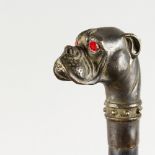 A GOOD WOODEN WALKING STICK with metal handle, bulldog with glass eyes.