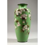 A GREEN GROUND CLOISONNE VASE, decorated with cherry blossom. 8.5ins high.