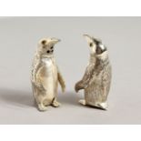A PAIR OF .800 SILVER PENGUIN SALT AND PEPPERS. 2ins high.