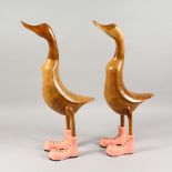 A PAIR OF CARVED WOOD MODELS OF DUCKS. 24ins high.