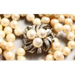 A GOOD TWO-ROW PEARL NECKLACE with white gold, diamond and pearl clasp.