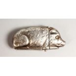 A NOVELTY SILVER PIG VESTA CASE. 2.75ins long.