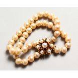 A TWO-ROW PEARL BRACELET with gold and pearl clasp.