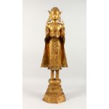 A TALL GILT BRONZE THAI STANDING BUDDHA. 34ins high.