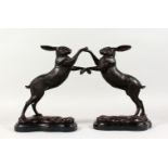 A PAIR OF BRONZE MODELS OF BOXING HARES, on shaped marble bases. 12ins high.