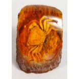 A CRAB IN AMBER.