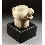 A ROMAN CARVED WHITE MARBLE ANIMAL HEAD. 7ins, on a black marble pedestal.