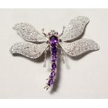 A SILVER, RUBY AND AMETHYST SET DRAGONFLY BROOCH.