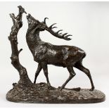 PIERRE-JULES MENE (1810-1871) FRENCH THE BROWSING STAG, a stag standing, head up looking at a