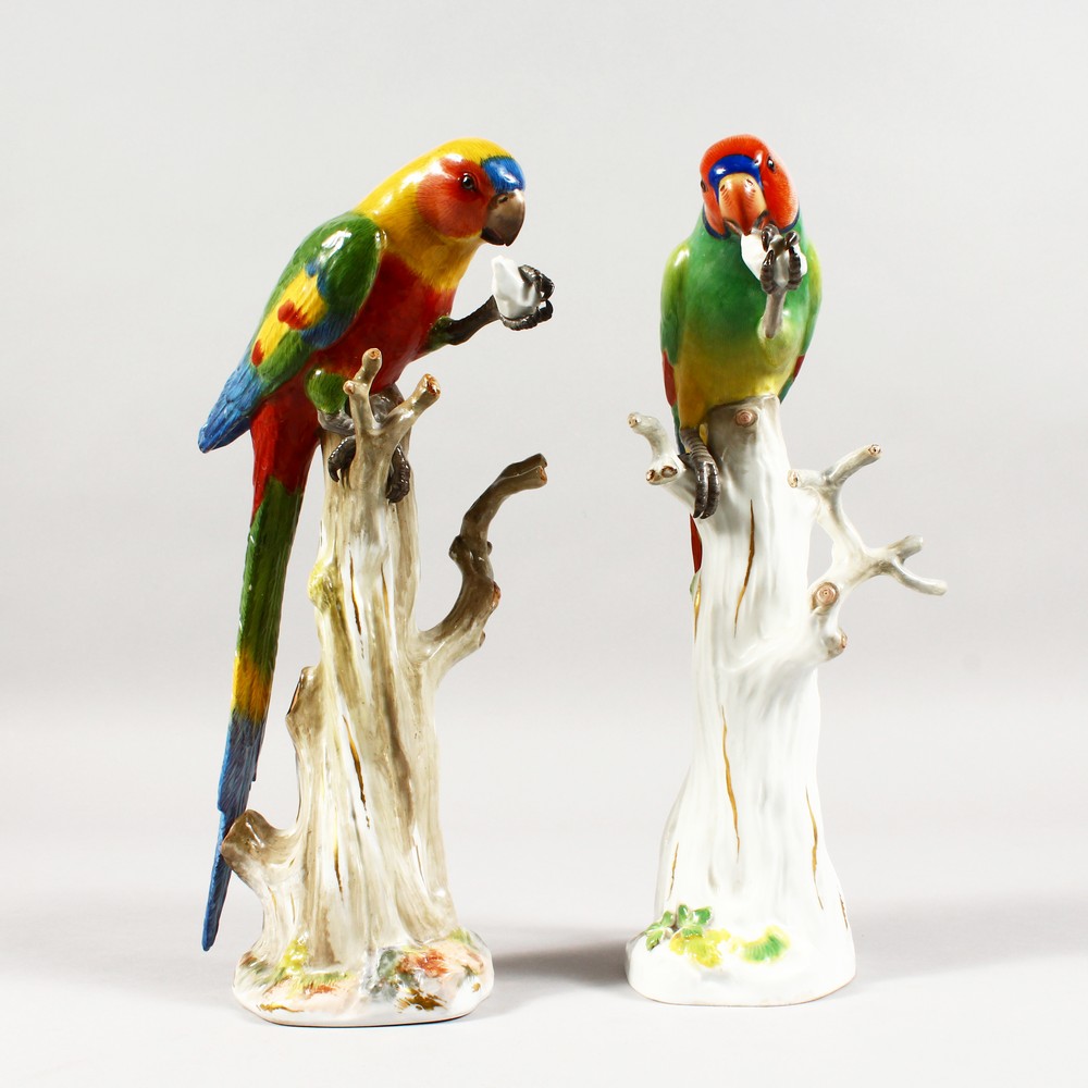 A VERY GOOD MATCHED PAIR OF 19TH CENTURY MEISSEN PORCELAIN PARAKEETS, brilliant colours, standing on