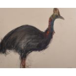 Lara Scouller (1983- ) British. 'Cassowary', Chalk, Signed in Pencil, 22" x 29".