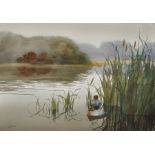 Douglas Haddow (20th Century) British. A River Landscape with Wildfowl in the Reeds, Watercolour,