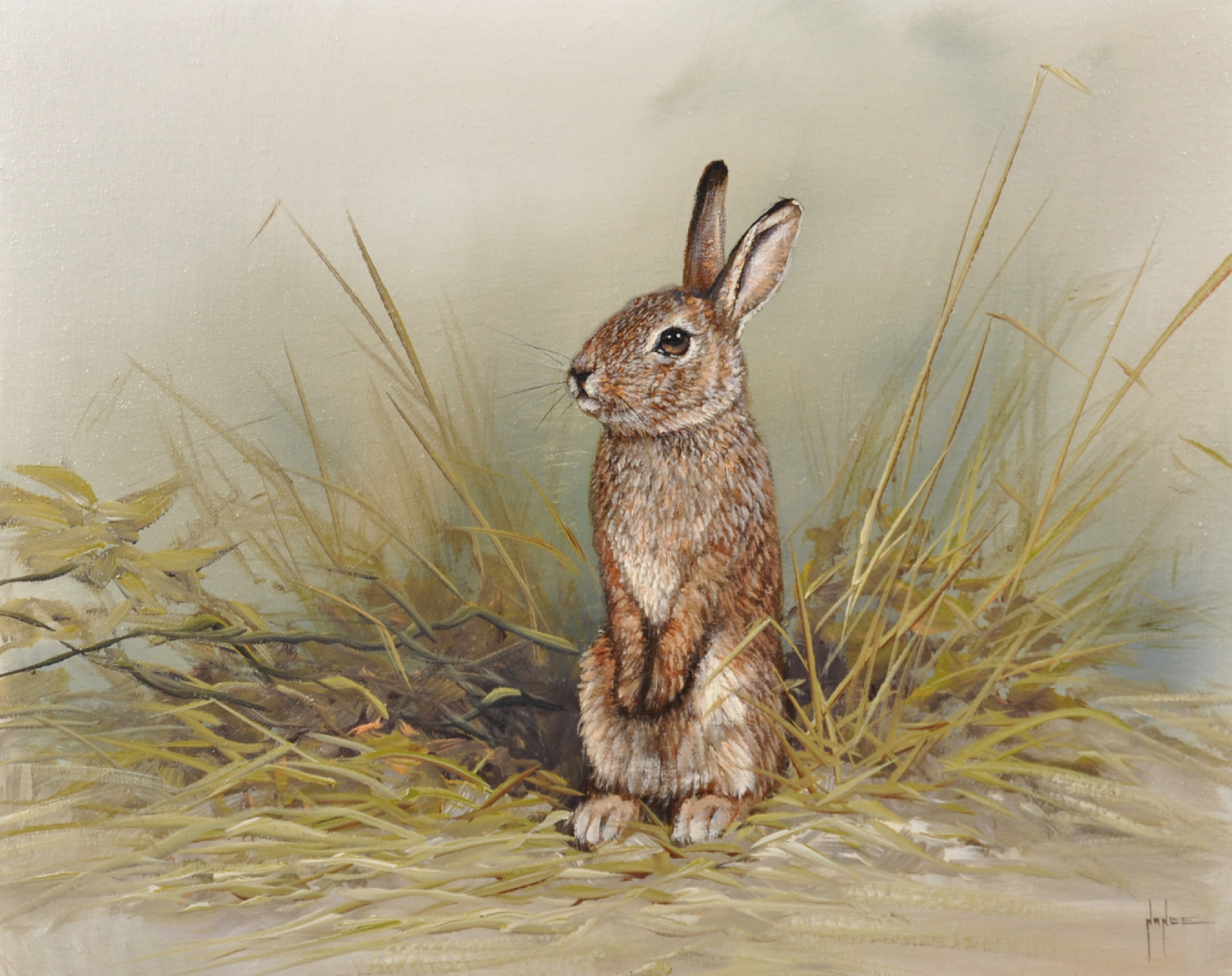 Mike Nance (20th Century) British. Study of a Rabbit, Oil on Canvas, Signed, 16" x 20", and Four