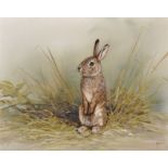 Mike Nance (20th Century) British. Study of a Rabbit, Oil on Canvas, Signed, 16" x 20", and Four