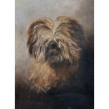 19th Century English School. Study of a Dogs Head, Oil on Board, 11" x 8.25".