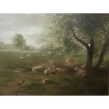 John G Mace (20th - 21st Century) British. Sheep resting under a Tree, with a Cockerel in the