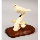 A JAPANESE MEIJI PERIOD CARVED IVORY OKIMONO OF A PERCHED BIRD, the bird stood upon a wooded outcrop