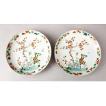 A GOOD PAIR OF CHNESE KANGXI STYLE FAMILLE VERTE PLATES, finely decorated with birds amongst