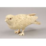 A JAPANESE MEIJI PERIOD CARVED IVORY OKIMONO OF A BIRD, the bird standing upon its two feet, 14.