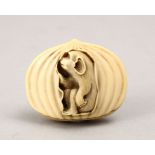A JAPANESE MEIJI PERIOD CARVED IVORY NETSUKE - MONKEY IN CHESTNUT - SIGNED, the netsuke carved to