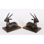 A VERY GOOD PAIR OF CARVED RHINO HORN FIGURES OF ANTELOPE on rectangular bases with etched edges.